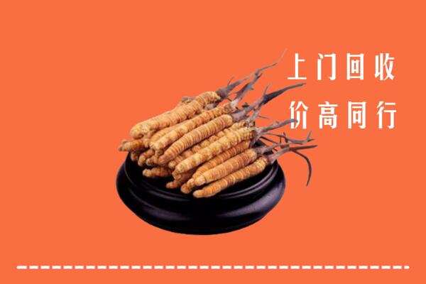 高价求购：清远回收散虫草
