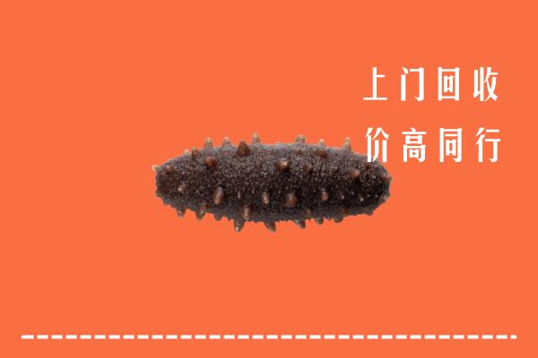 清远回收海参