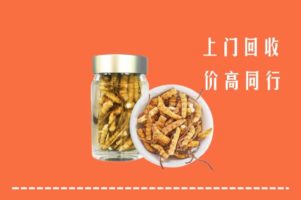 清远高价回收冬虫夏草